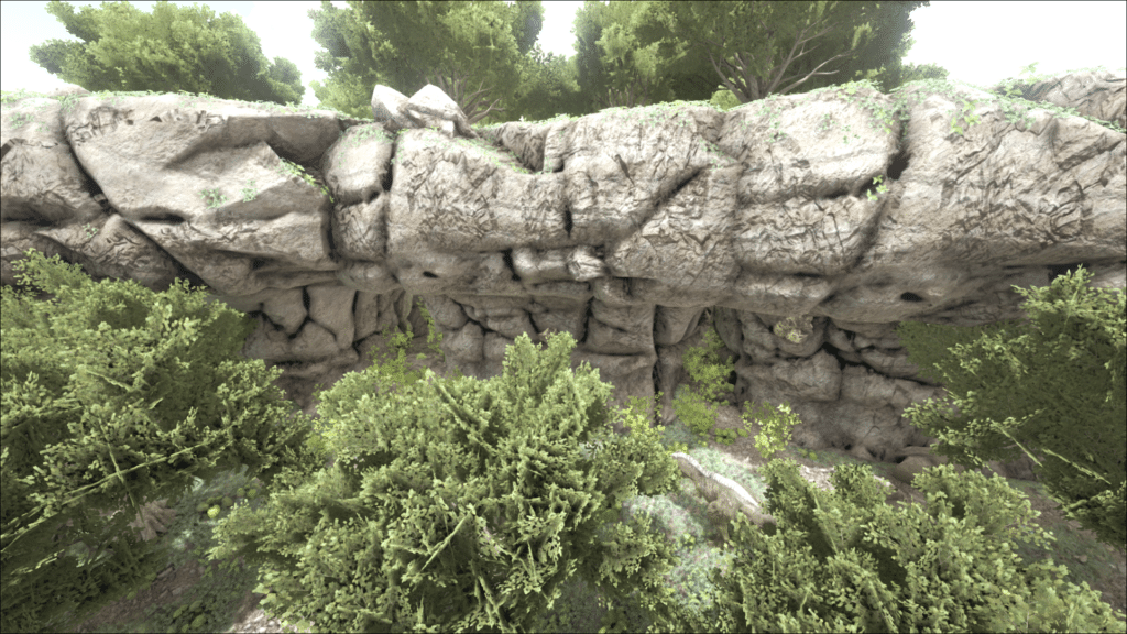 Oluf Jungle Cave 20.50, 27.55