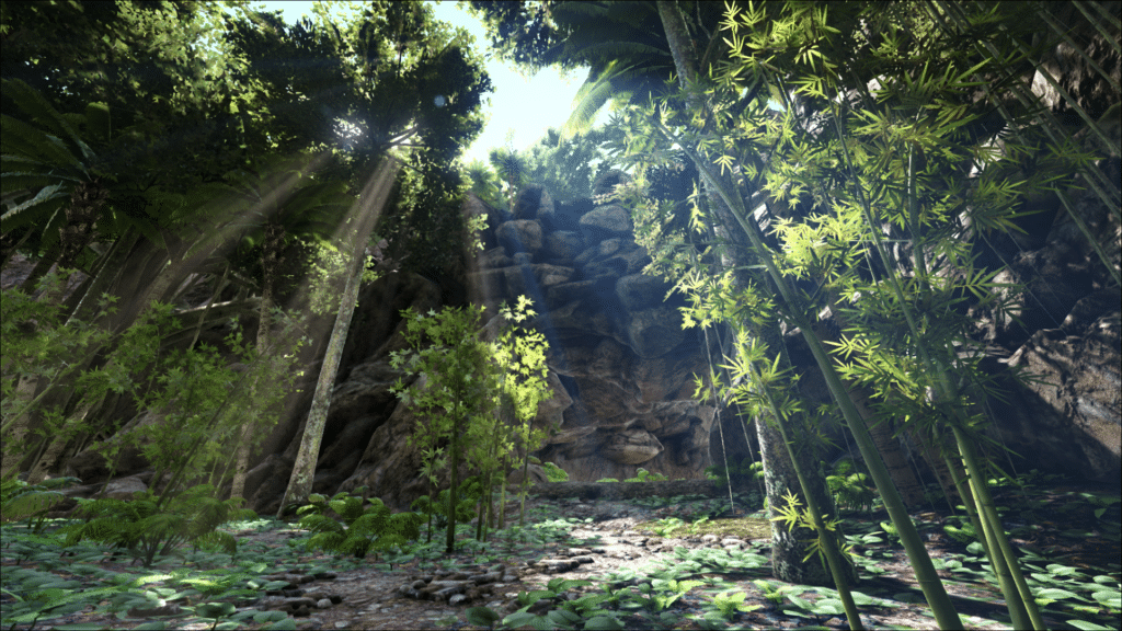 Pirate Cave 20.45, 24.05