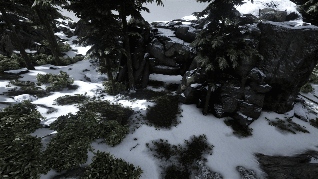 Snow Cave 42.20, 56.60