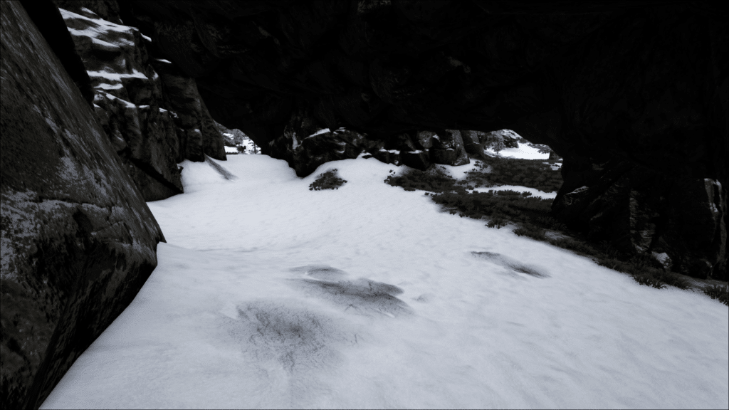 Snow Cave